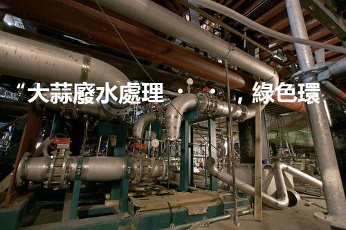 “大蒜廢水處理，綠色環(huán)保新篇章”